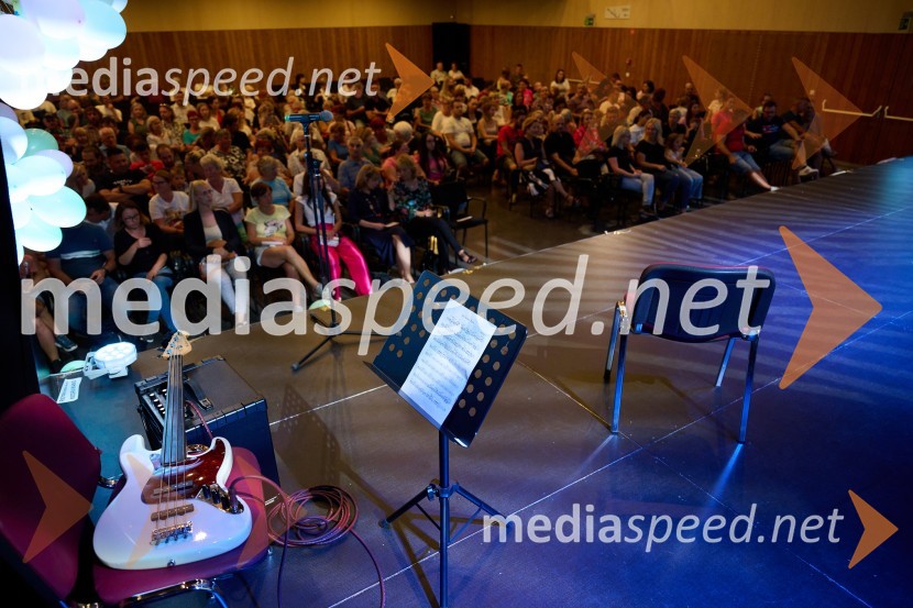 Dobrodelni dan Selnice ob Dravi z Rumplkamro