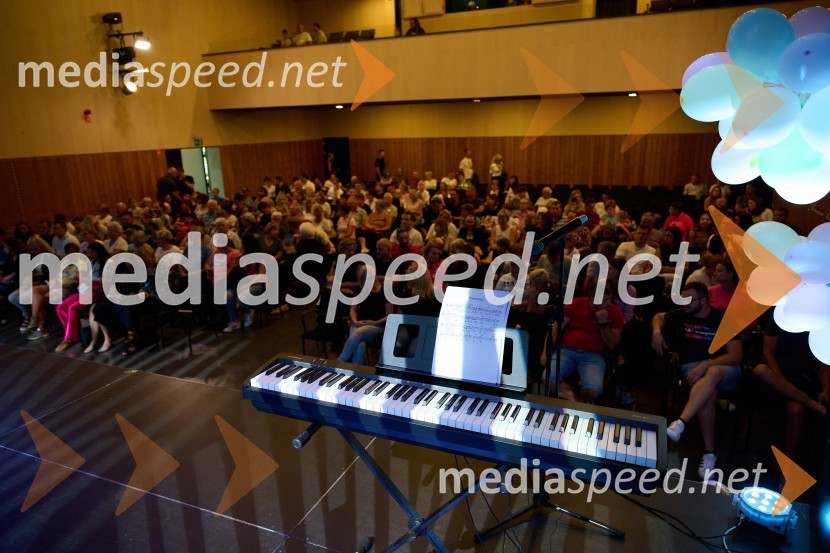 Dobrodelni dan Selnice ob Dravi z Rumplkamro