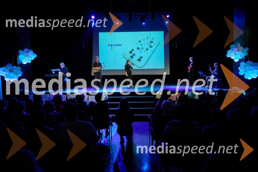 Dobrodelni dan Selnice ob Dravi z Rumplkamro