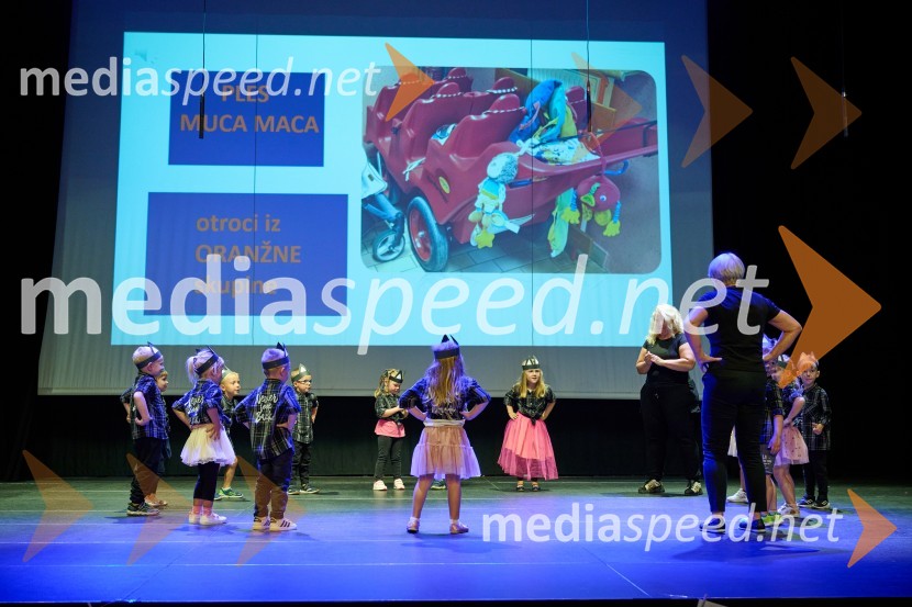 Dobrodelni dan Selnice ob Dravi z Rumplkamro