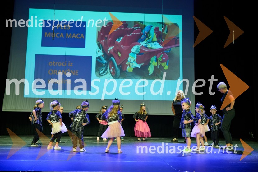 Dobrodelni dan Selnice ob Dravi z Rumplkamro