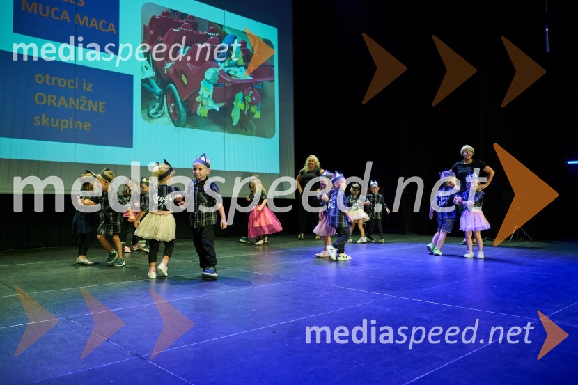 Dobrodelni dan Selnice ob Dravi z Rumplkamro