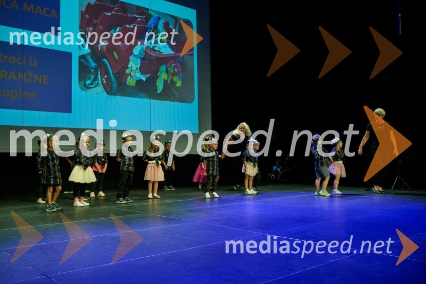 Dobrodelni dan Selnice ob Dravi z Rumplkamro