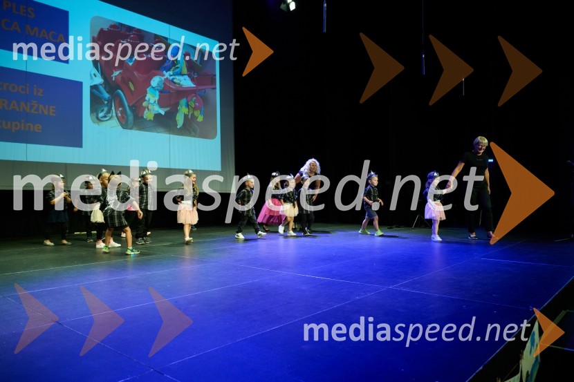 Dobrodelni dan Selnice ob Dravi z Rumplkamro