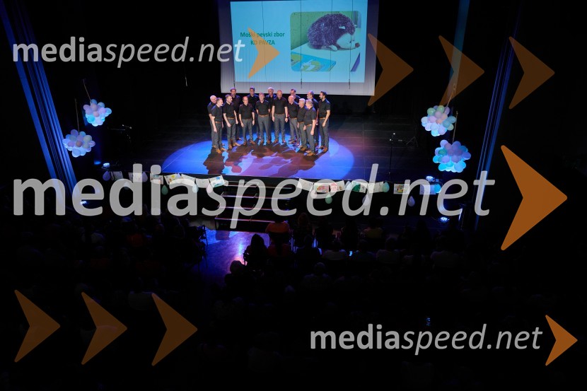 Dobrodelni dan Selnice ob Dravi z Rumplkamro