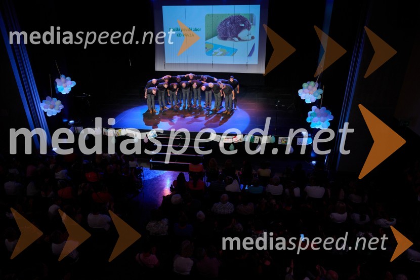 Dobrodelni dan Selnice ob Dravi z Rumplkamro