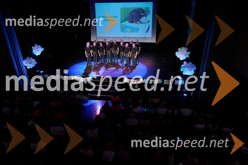 Dobrodelni dan Selnice ob Dravi z Rumplkamro