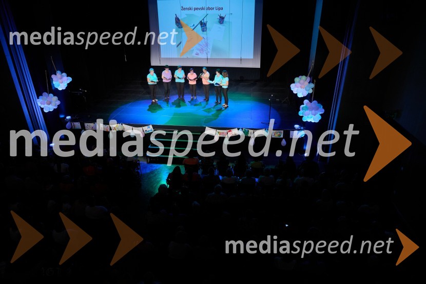 Dobrodelni dan Selnice ob Dravi z Rumplkamro