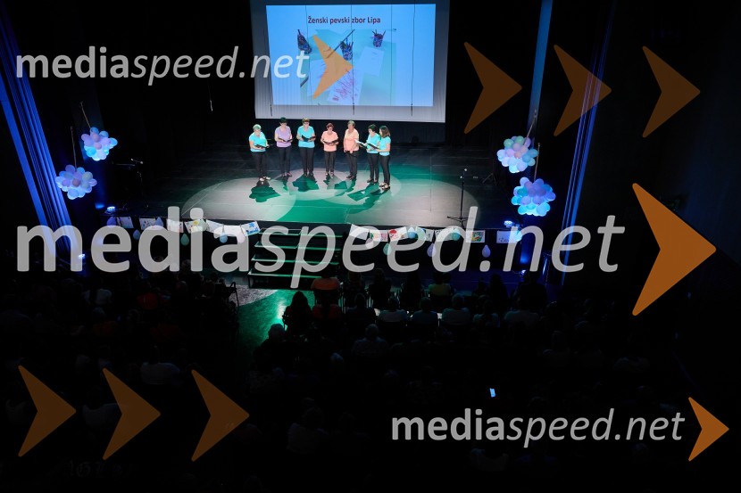 Dobrodelni dan Selnice ob Dravi z Rumplkamro