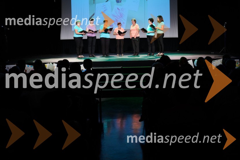 Dobrodelni dan Selnice ob Dravi z Rumplkamro