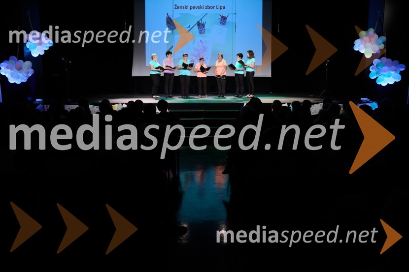 Dobrodelni dan Selnice ob Dravi z Rumplkamro