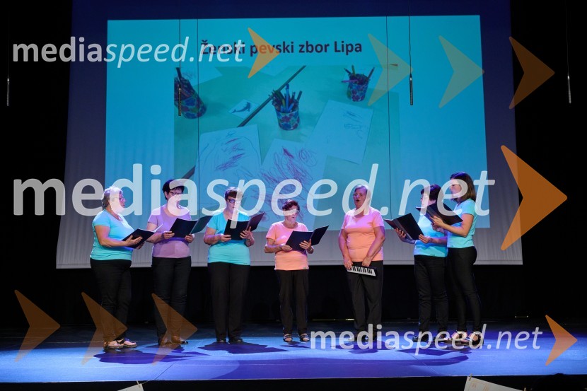 Dobrodelni dan Selnice ob Dravi z Rumplkamro