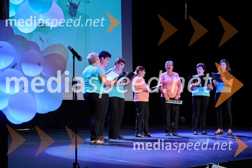 Dobrodelni dan Selnice ob Dravi z Rumplkamro