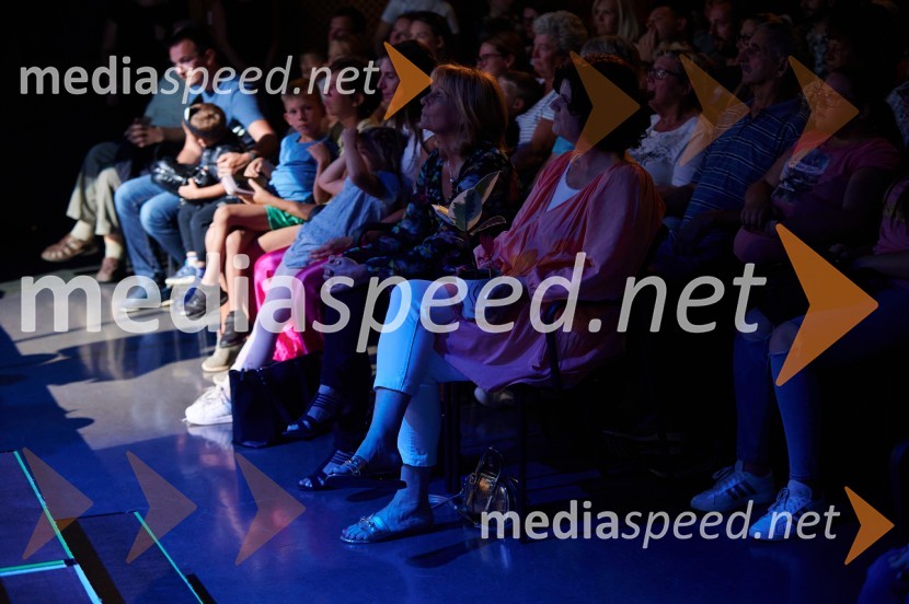 Dobrodelni dan Selnice ob Dravi z Rumplkamro