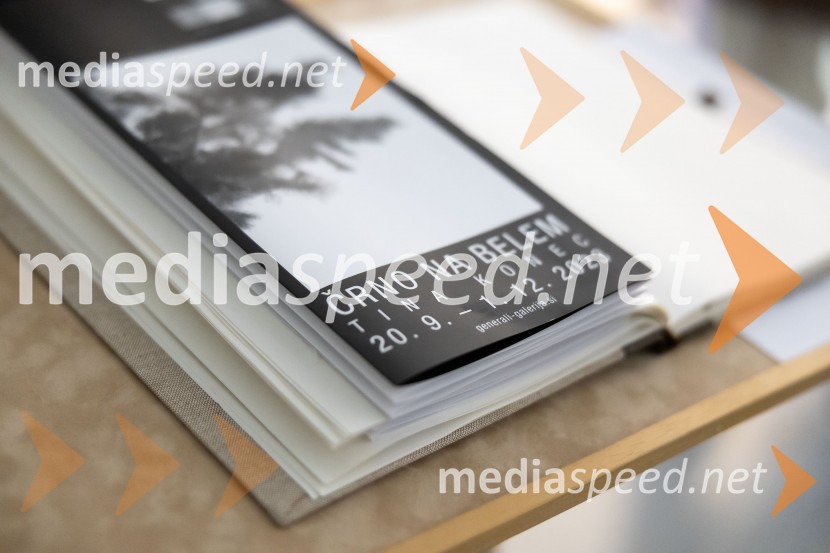 Odprtje razstave Črno na belem akademske slikarke Tine Konec, Generali galerija