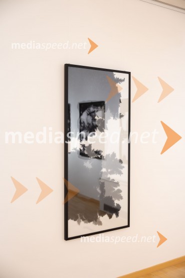 Odprtje razstave Črno na belem akademske slikarke Tine Konec, Generali galerija