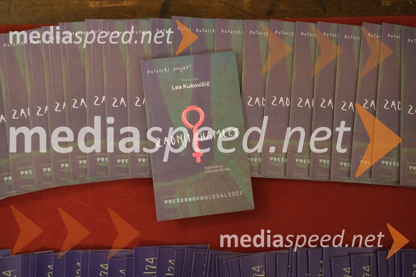 Zadnji Hamlet, premiera, Prešernovo gledališče Kranj