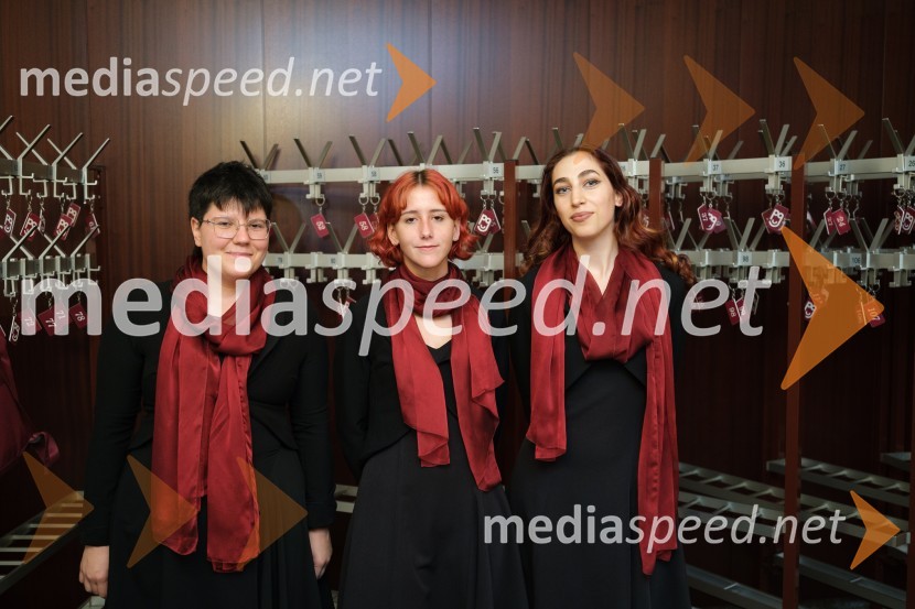 Zadnji Hamlet, premiera, Prešernovo gledališče Kranj