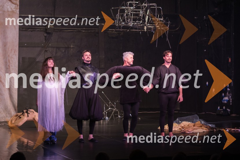  Živa Selan, igralka;  Blaž Setnikar, igralec;  Borut  Veselko, igralec;  Miha Rodman, igralecZadnji Hamlet, premiera, Prešernovo gledališče Kranj