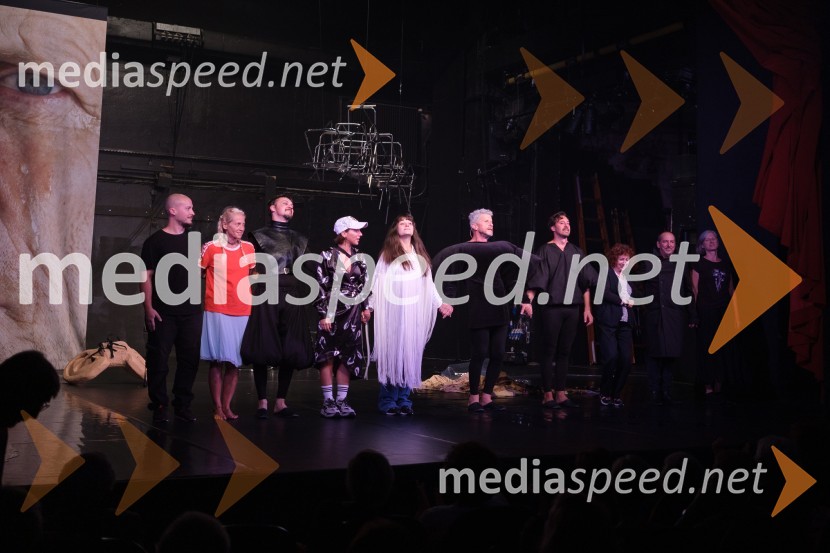  ... ;  Sodja Zupanc Lotker, dramaturginja;  Blaž Setnikar, igralec;  Lea  Kukovičič, režiserka;  Živa Selan, igralka;  Borut  Veselko, igralec;  Miha Rodman, igralec;  ... ;  Ciril Roblek, inspicient PGK;  ... Zadnji Hamlet, premiera, Prešernovo gledališče Kranj