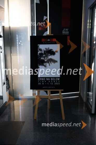 Odprtje razstave Črno na belem akademske slikarke Tine Konec, Generali galerija