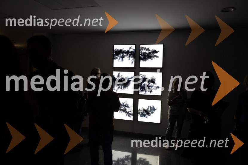 Odprtje razstave Črno na belem akademske slikarke Tine Konec, Generali galerija