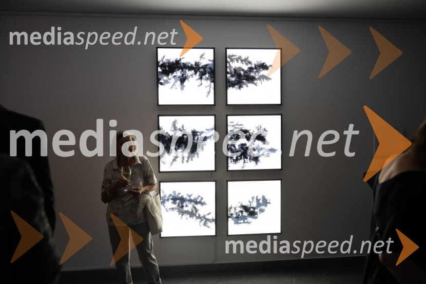 Odprtje razstave Črno na belem akademske slikarke Tine Konec, Generali galerija