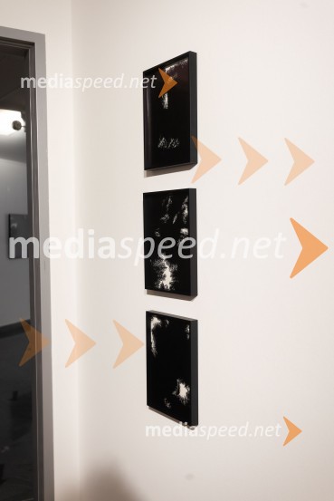 Odprtje razstave Črno na belem akademske slikarke Tine Konec, Generali galerija