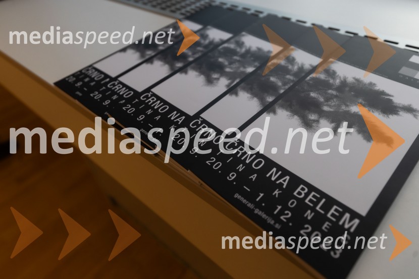 Odprtje razstave Črno na belem akademske slikarke Tine Konec, Generali galerija