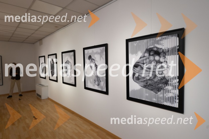 Odprtje razstave Črno na belem akademske slikarke Tine Konec, Generali galerija