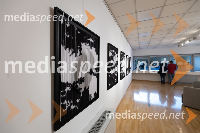 Odprtje razstave Črno na belem akademske slikarke Tine Konec, Generali galerija