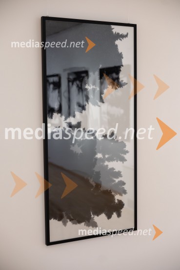 Odprtje razstave Črno na belem akademske slikarke Tine Konec, Generali galerija