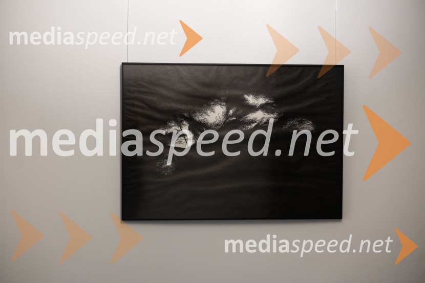 Odprtje razstave Črno na belem akademske slikarke Tine Konec, Generali galerija