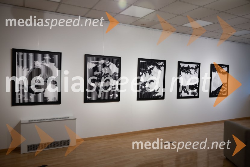 Odprtje razstave Črno na belem akademske slikarke Tine Konec, Generali galerija