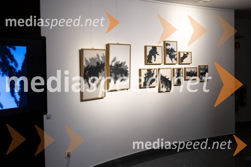 Odprtje razstave Črno na belem akademske slikarke Tine Konec, Generali galerija