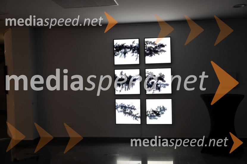 Odprtje razstave Črno na belem akademske slikarke Tine Konec, Generali galerija