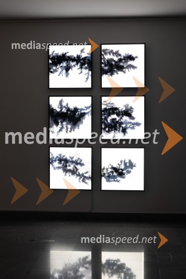 Odprtje razstave Črno na belem akademske slikarke Tine Konec, Generali galerija