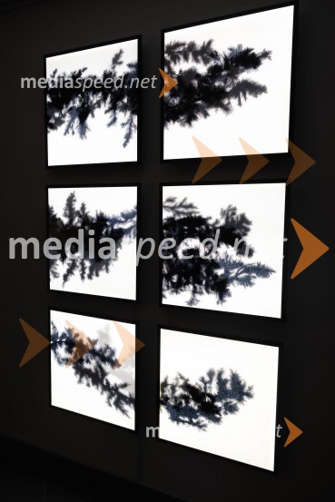 Odprtje razstave Črno na belem akademske slikarke Tine Konec, Generali galerija