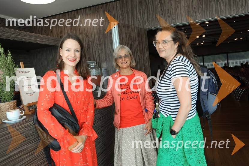 AI-spiracija: kako in kaj z umetno inteligenco v 2024