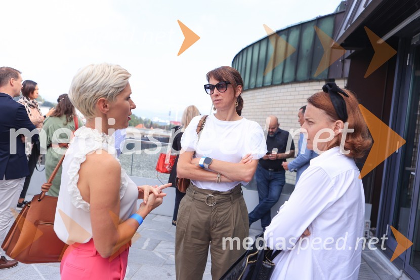 AI-spiracija: kako in kaj z umetno inteligenco v 2024