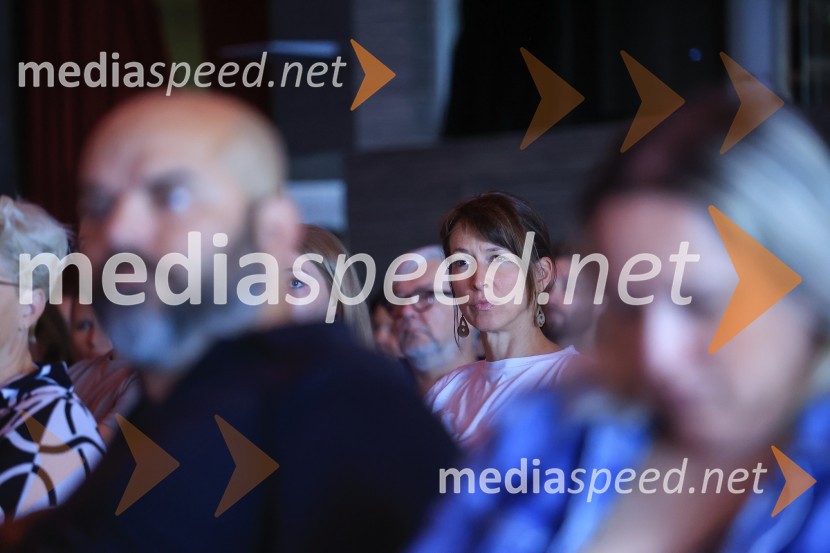 AI-spiracija: kako in kaj z umetno inteligenco v 2024