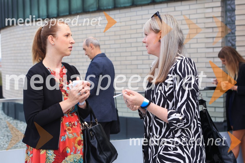 AI-spiracija: kako in kaj z umetno inteligenco v 2024