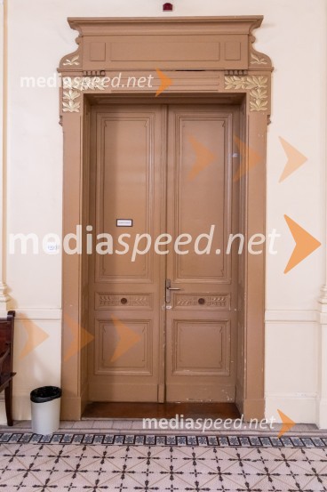 Sodna obravnava Nataša Sokolov