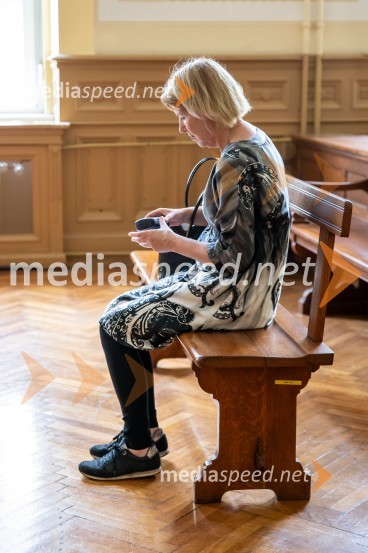 Sodna obravnava Nataša Sokolov