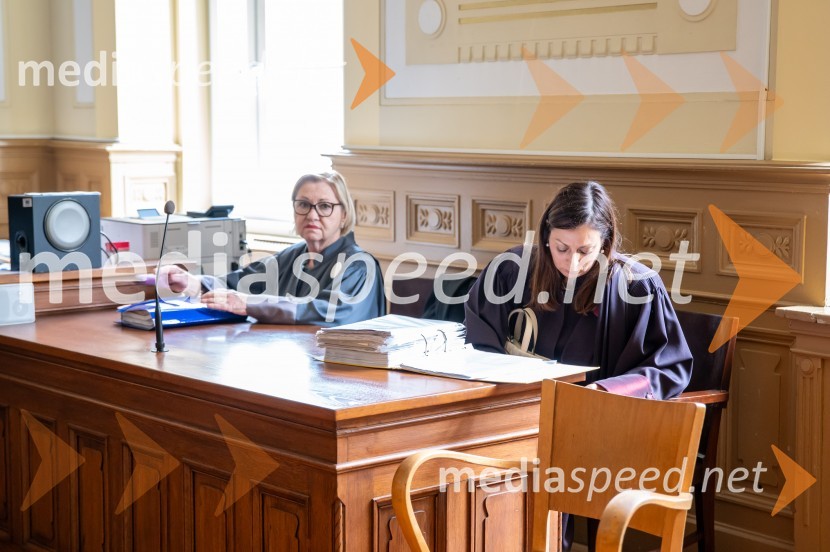 Sodna obravnava Nataša Sokolov