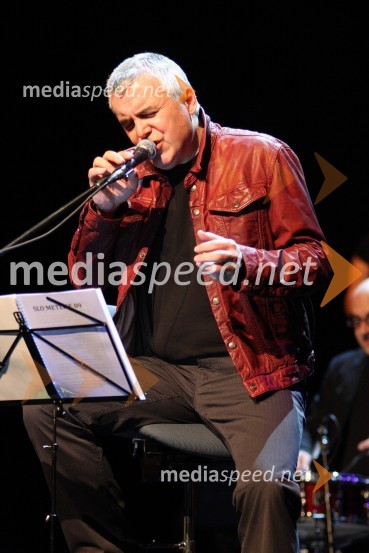 Zoran Predin, glasbenikZoran Predin & The Gypsy Swing band, koncert v SNG Maribor