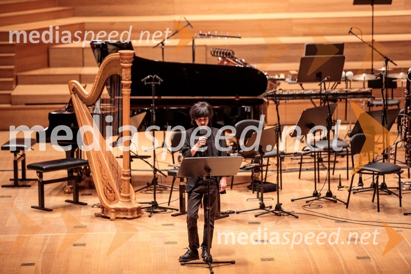  Ana Pepelnik, pesnicaKoncert Ensemble Moderna v Cankarjevem domu