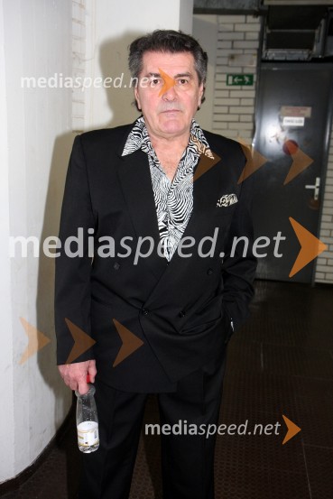 Dalibor Brun, hrvaški pevecWerner z gosti, koncertna turneja