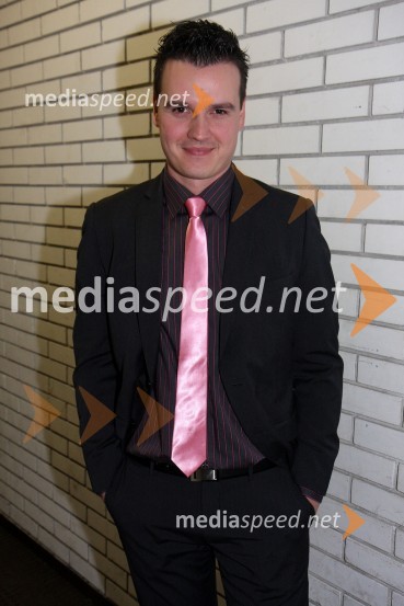 Andrej Mernik, televizijski in radijski voditeljWerner z gosti, koncertna turneja