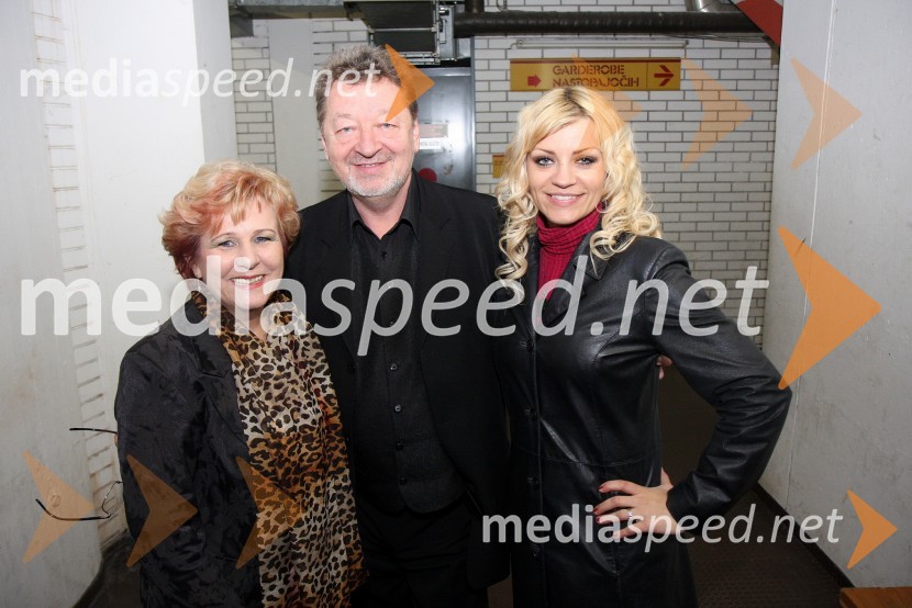 Majda Petan, pevka s soprogom Marijanom Petanom, članom zasedbe New swing kvartet in Brigita Šuler, pevkaWerner z gosti, koncertna turneja